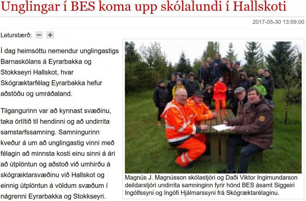 Vinna að skógrækt vor og haust