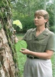 Lærdómurinn frá gosinu í St. Helens