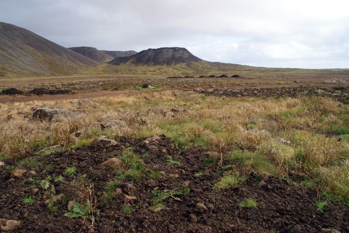Mynd frá Vistvangi tekin 9. október í haust. Stóra-Eldborg í baksýn, Geitahlíð til vinstri þar sem á…