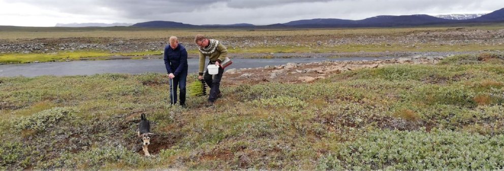 Ýmis tækifæri á sviði skógræktar voru kynnt á íbúafundi Vopnafjarðarhrepps. Meðal þess sem unnið er …