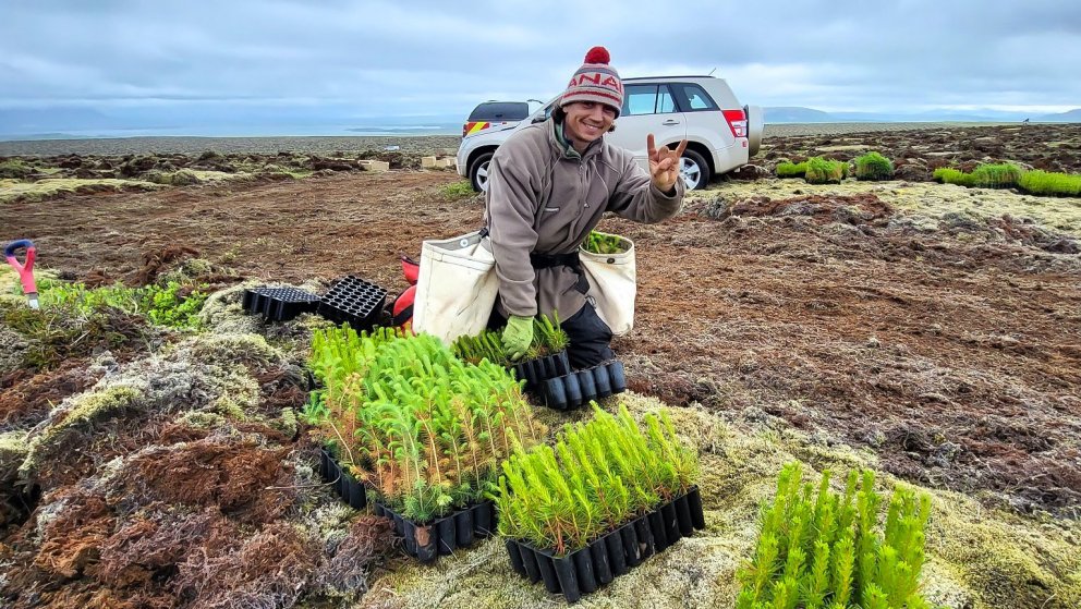 Sænski gróðursetningarmaðurinn William Kristiansson er nýr Íslandsmeistari í gróðursetningu. Ljósmyn…