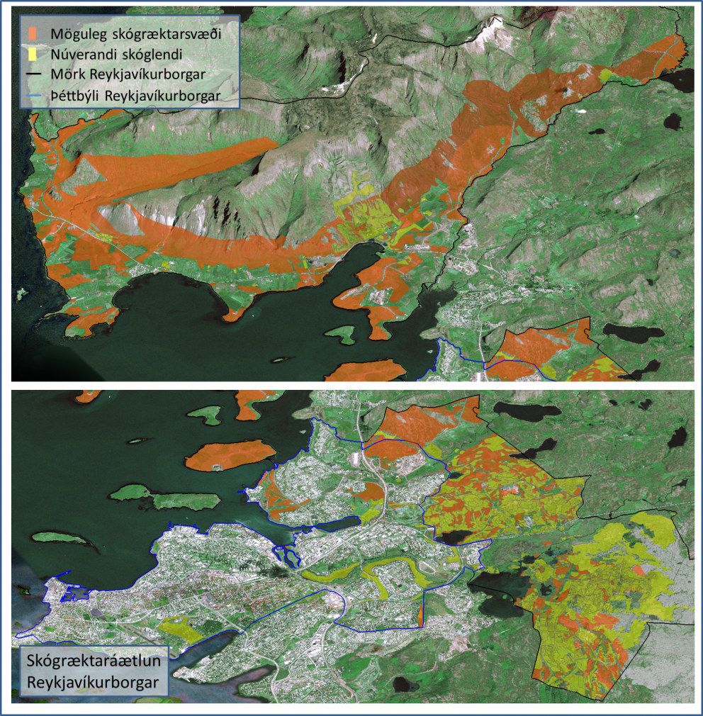 Yfirlitskort sem sýnir núverandi skógræktarsvæði og möguleg skógræktarsvæði.