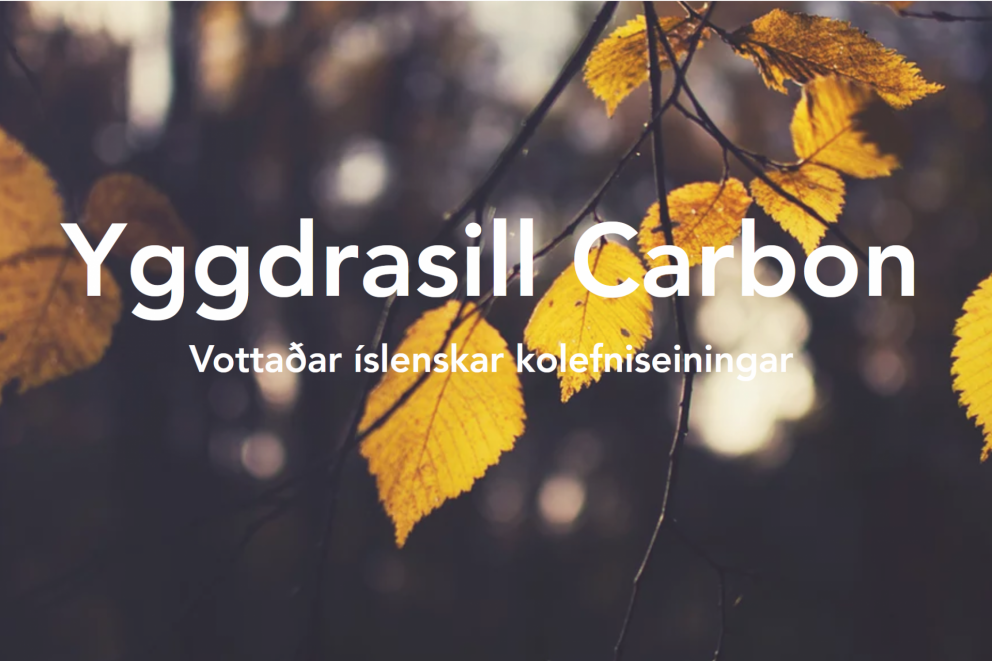 Skjámynd af vef Yggrasils Carbon